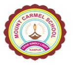 Mount Carmel School